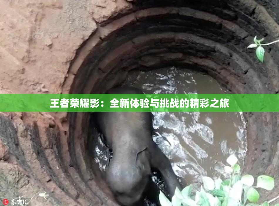 王者荣耀影：全新体验与挑战的精彩之旅