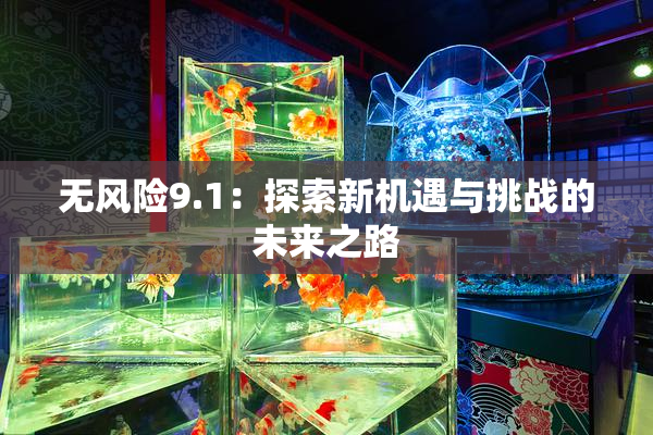 无风险9.1：探索新机遇与挑战的未来之路