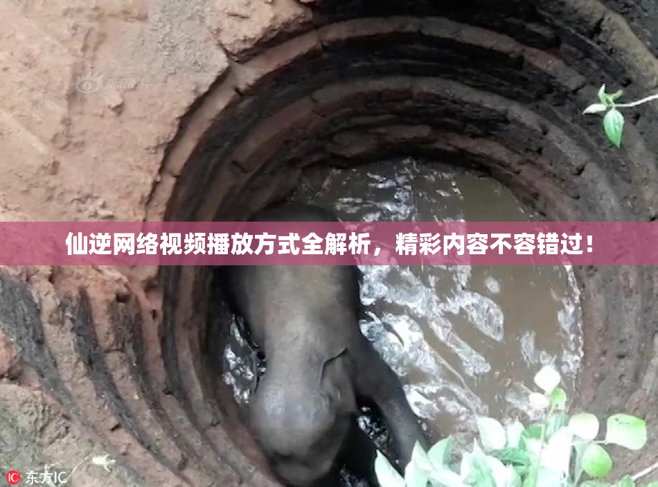 仙逆网络视频播放方式全解析，精彩内容不容错过！