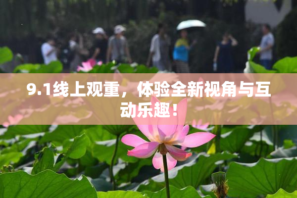 9.1线上观重，体验全新视角与互动乐趣！