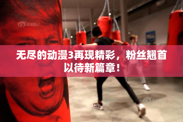 无尽的动漫3再现精彩，粉丝翘首以待新篇章！