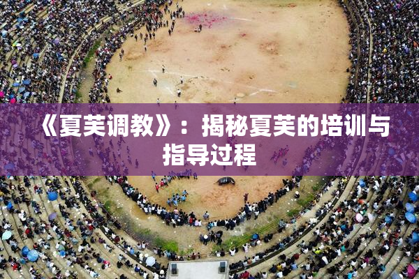 《夏芙调教》：揭秘夏芙的培训与指导过程