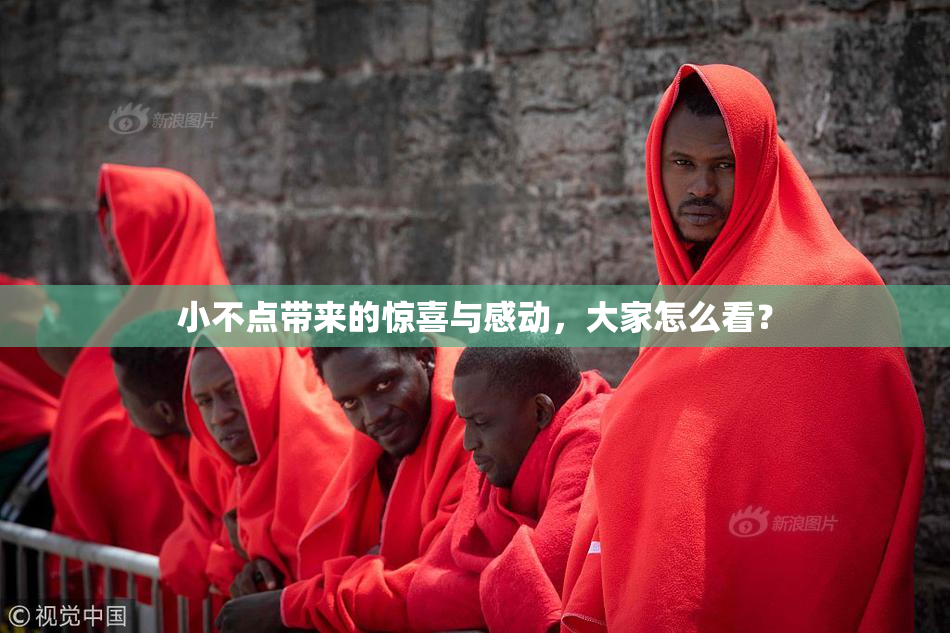 小不点带来的惊喜与感动，大家怎么看？