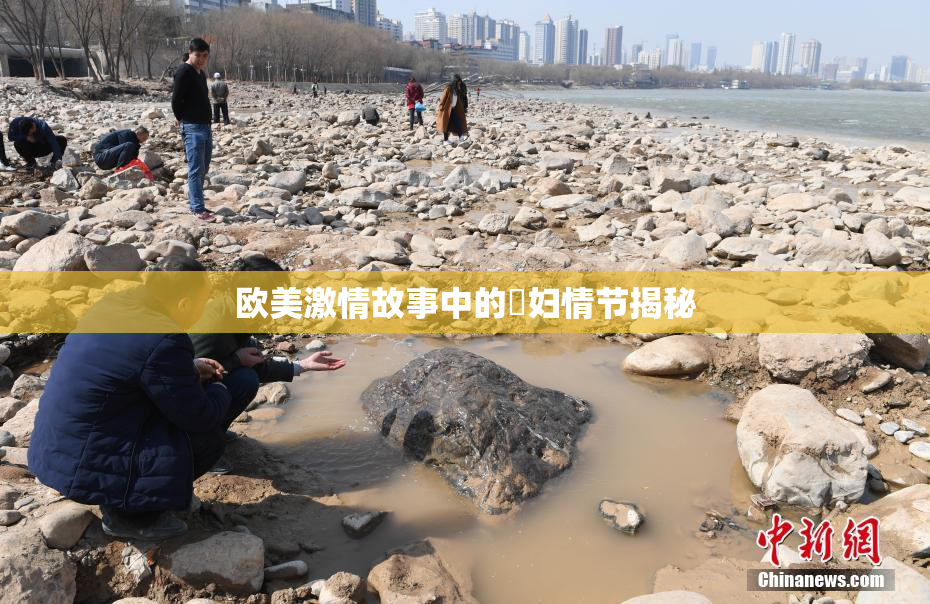 欧美激情故事中的婬妇情节揭秘