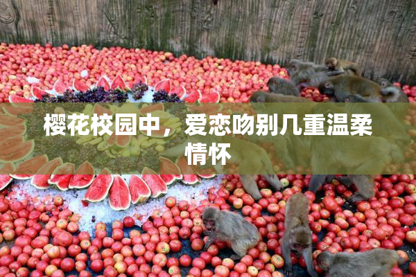 樱花校园中，爱恋吻别几重温柔情怀