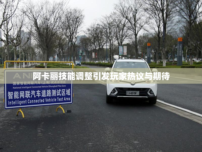 阿卡丽技能调整引发玩家热议与期待