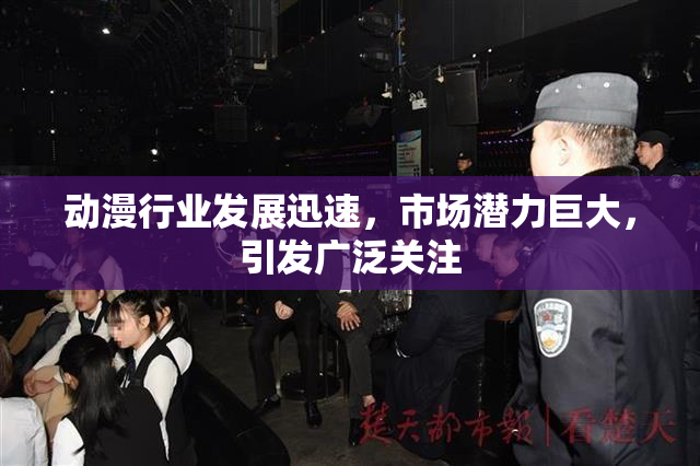 动漫行业发展迅速，市场潜力巨大，引发广泛关注