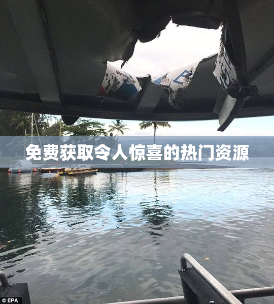 免费获取令人惊喜的热门资源