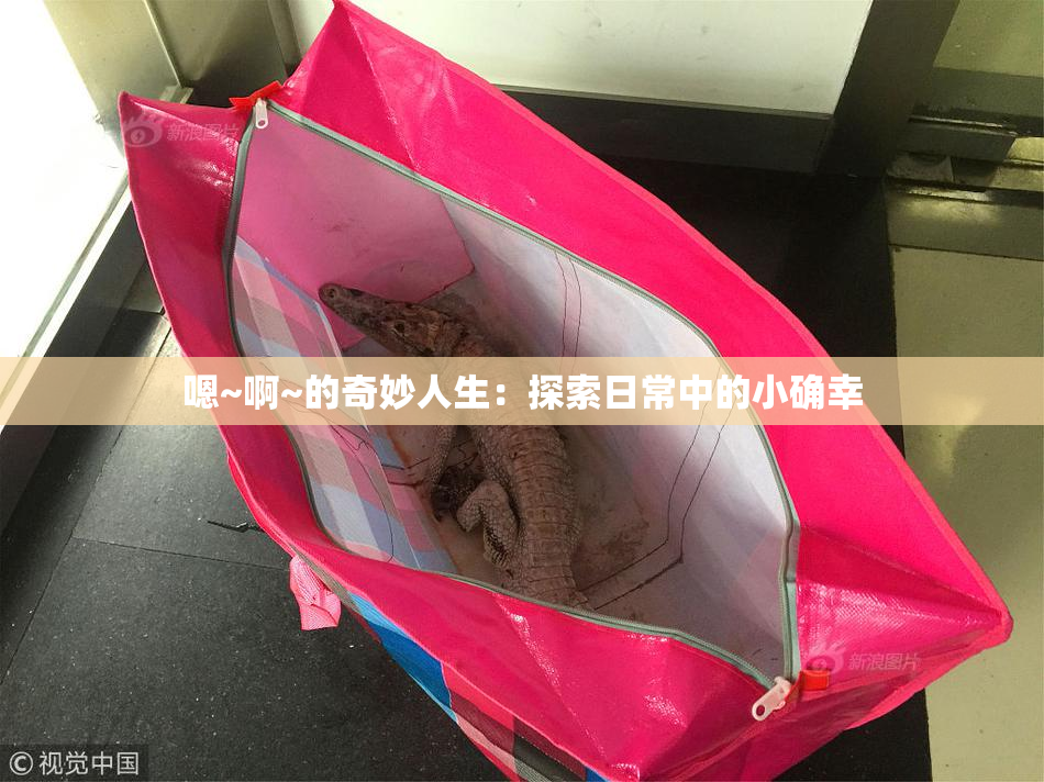 嗯~啊~的奇妙人生：探索日常中的小确幸