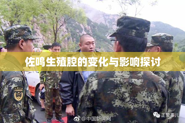 佐鸣生殖腔的变化与影响探讨
