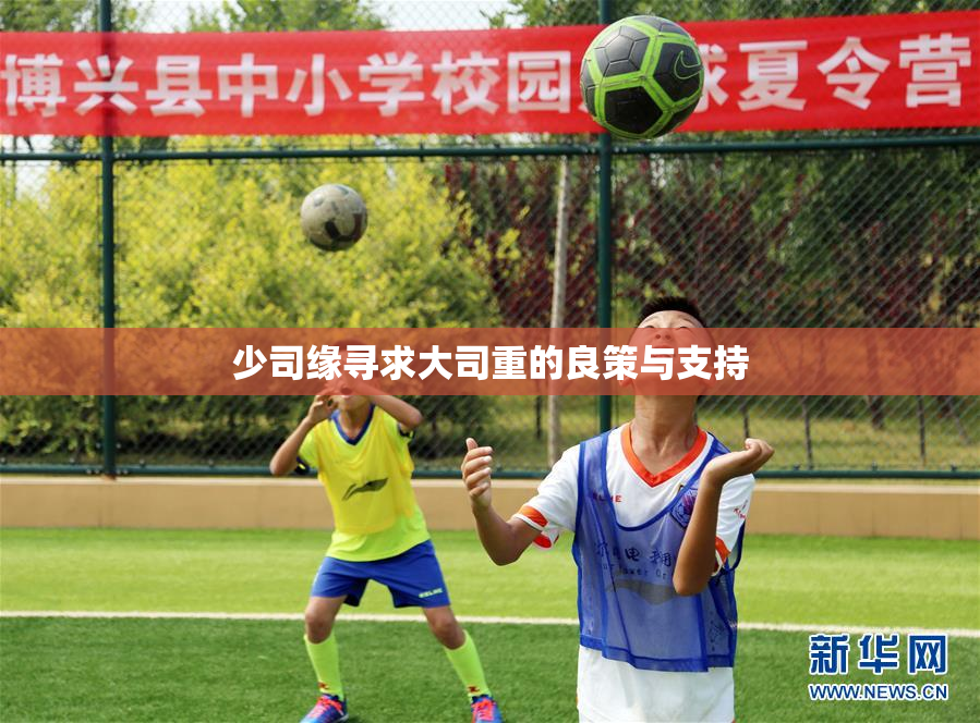 少司缘寻求大司重的良策与支持