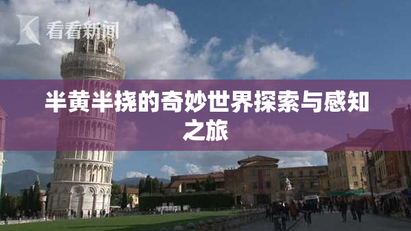 半黄半挠的奇妙世界探索与感知之旅