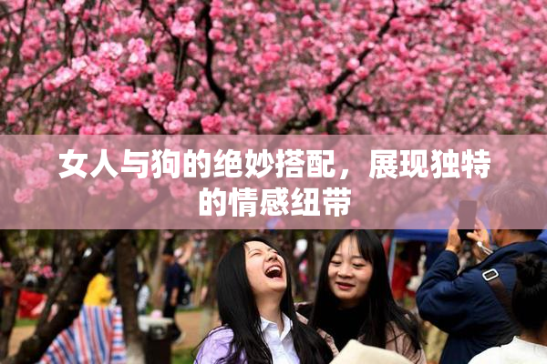 女人与狗的绝妙搭配，展现独特的情感纽带