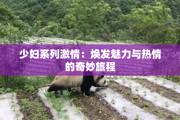 少妇系列激情：焕发魅力与热情的奇妙旅程