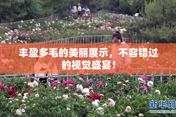 丰盈多毛的美丽展示，不容错过的视觉盛宴！