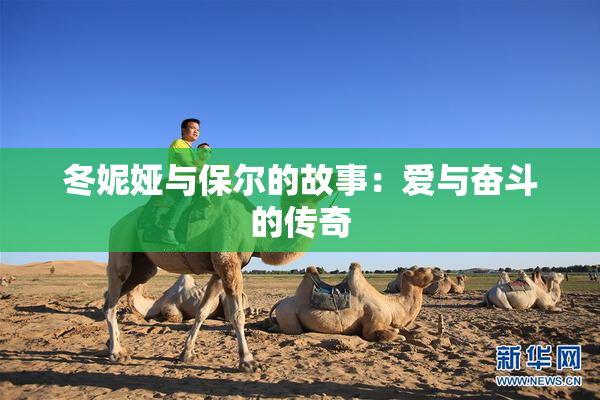 冬妮娅与保尔的故事：爱与奋斗的传奇