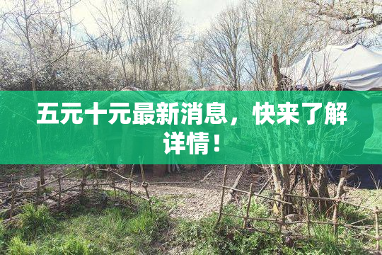五元十元最新消息，快来了解详情！