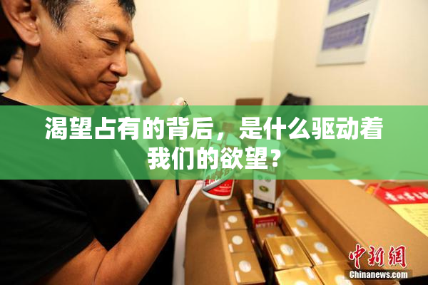 渴望占有的背后，是什么驱动着我们的欲望？