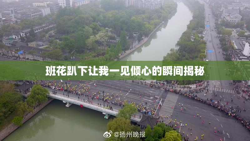 班花趴下让我一见倾心的瞬间揭秘