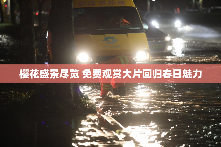 樱花盛景尽览 免费观赏大片回归春日魅力