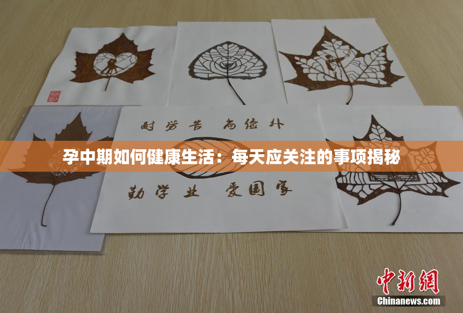 孕中期如何健康生活：每天应关注的事项揭秘