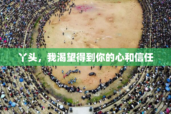 丫头，我渴望得到你的心和信任