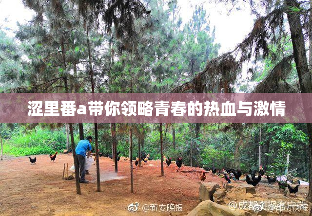 涩里番a带你领略青春的热血与激情
