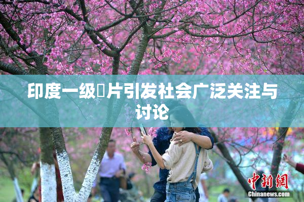 印度一级婬片引发社会广泛关注与讨论