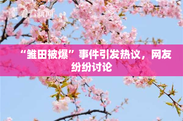 “雏田被爆”事件引发热议，网友纷纷讨论