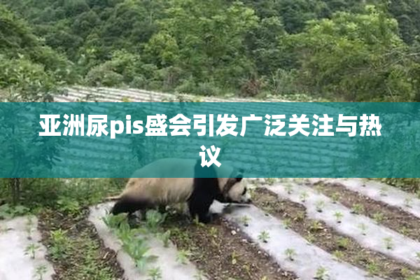 亚洲尿pis盛会引发广泛关注与热议