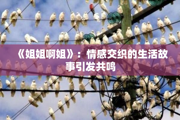 《姐姐啊姐》：情感交织的生活故事引发共鸣