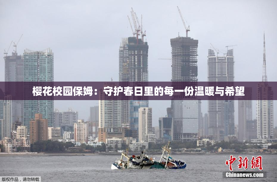 樱花校园保姆：守护春日里的每一份温暖与希望