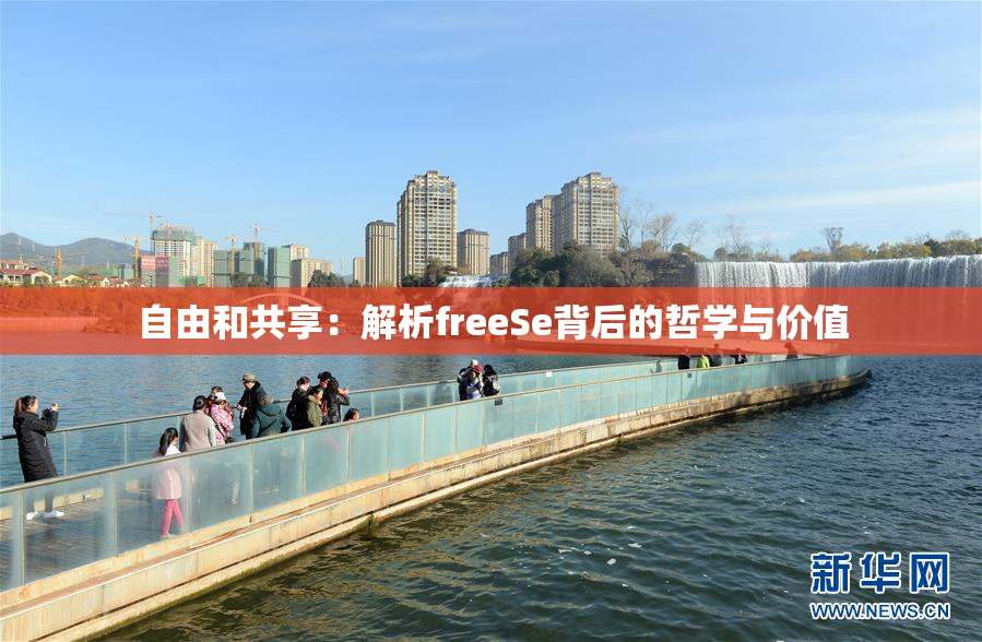自由和共享：解析freeSe背后的哲学与价值