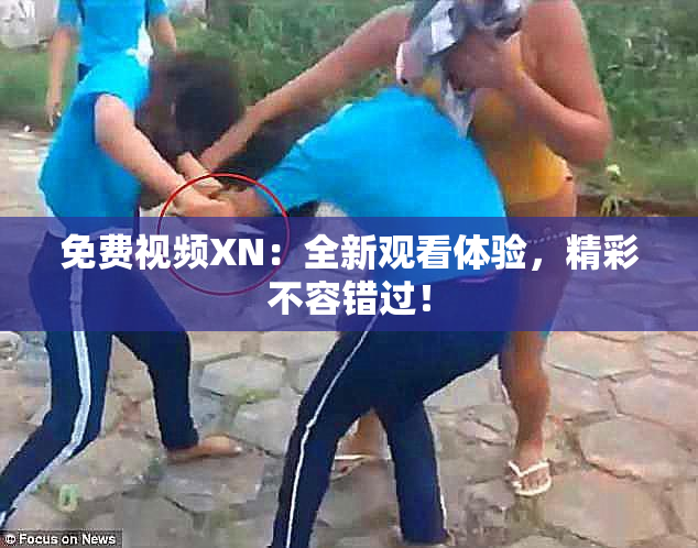 免费视频XN：全新观看体验，精彩不容错过！