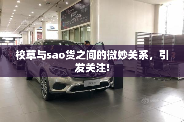 校草与sao货之间的微妙关系，引发关注!