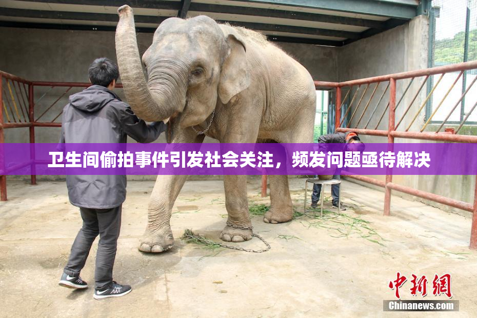 卫生间偷拍事件引发社会关注，频发问题亟待解决