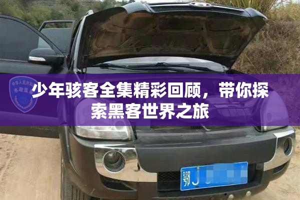 少年骇客全集精彩回顾，带你探索黑客世界之旅