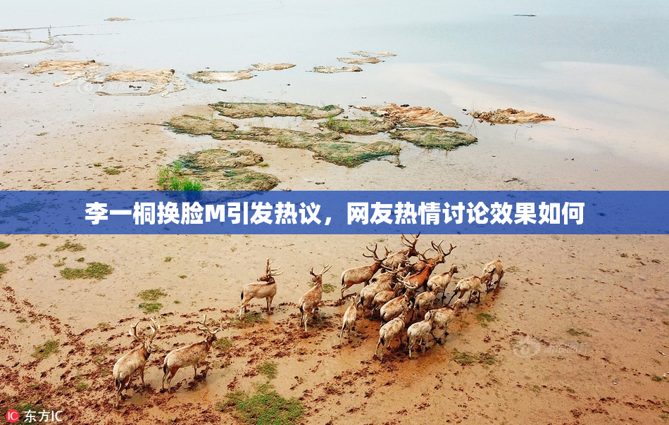 李一桐换脸M引发热议，网友热情讨论效果如何