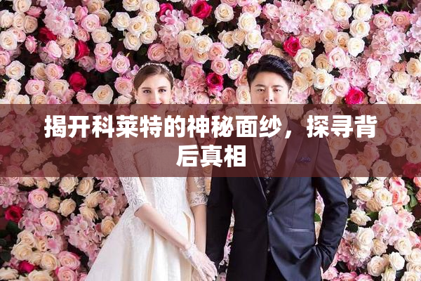 揭开科莱特的神秘面纱，探寻背后真相