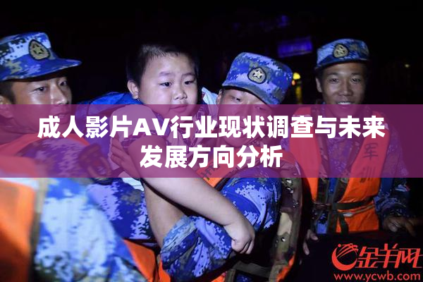 成人影片AV行业现状调查与未来发展方向分析