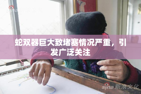 蛇双器巨大致堵塞情况严重，引发广泛关注
