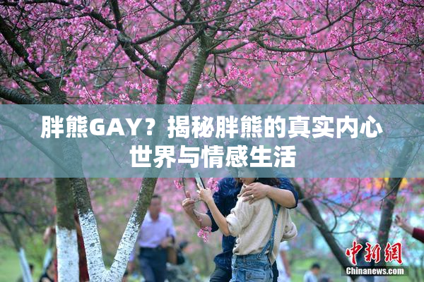 胖熊GAY？揭秘胖熊的真实内心世界与情感生活