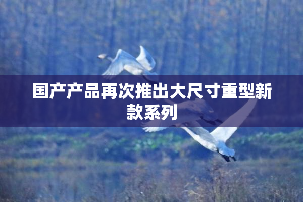 国产产品再次推出大尺寸重型新款系列