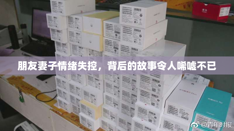 朋友妻子情绪失控，背后的故事令人唏嘘不已