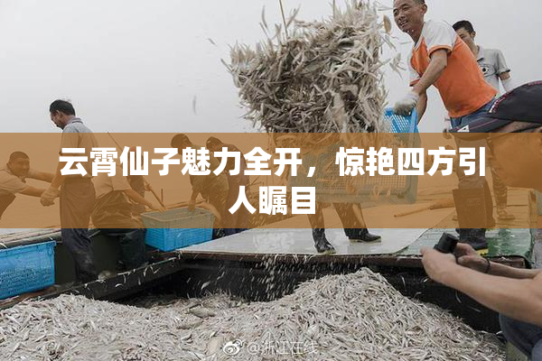 云霄仙子魅力全开，惊艳四方引人瞩目