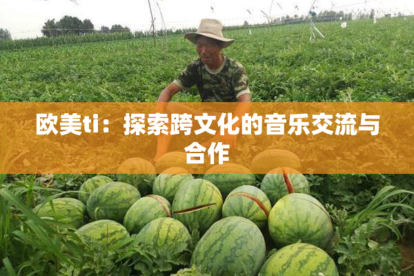 欧美ti：探索跨文化的音乐交流与合作
