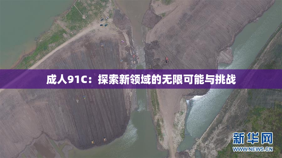 成人91C：探索新领域的无限可能与挑战