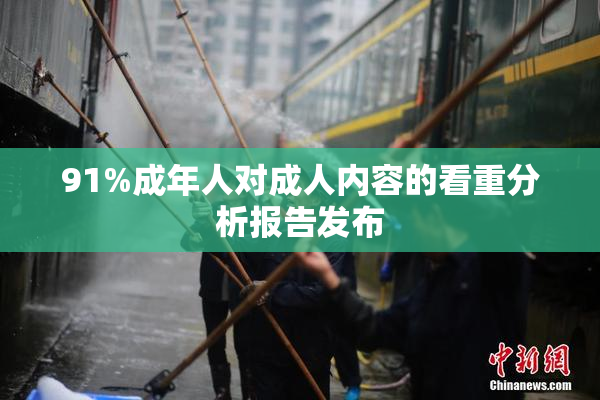 91%成年人对成人内容的看重分析报告发布