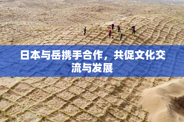日本与岳携手合作，共促文化交流与发展