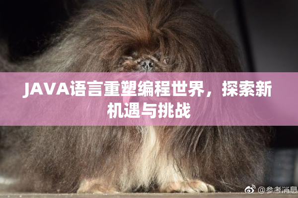 JAVA语言重塑编程世界，探索新机遇与挑战